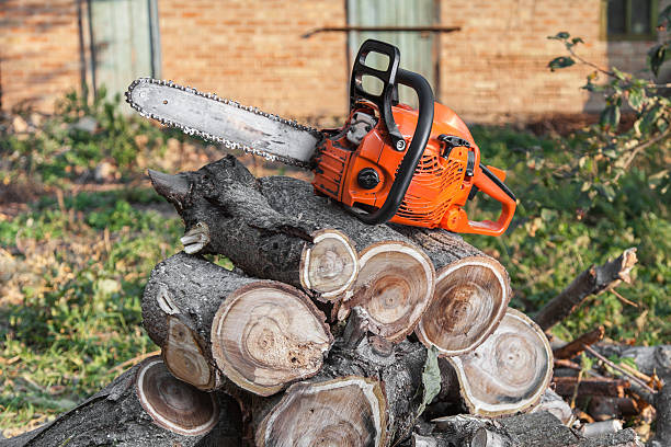 Tree Removal for Businesses in Elizabethtown, NC